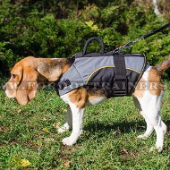 Small Dog Coat for Beagle | Small Dog Jacket for Beagle