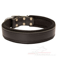 Large Soft Dog Collar with Felt Lining and Strong Buckle
