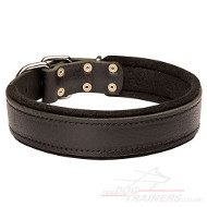 Soft Leather Dog Collar Padded