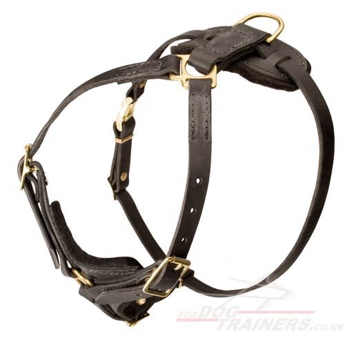 quality leather dog harness UK