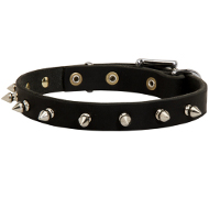 Spiked Dog Collars