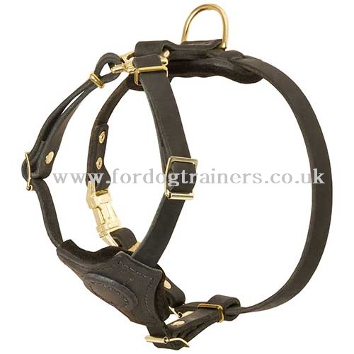 handmade leather dog harness