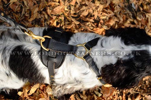 buy dog walking harness Spaniel UK