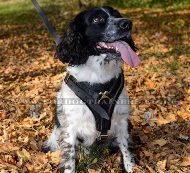 Stylish Y-shaped Dog Harness for Springer Spaniel