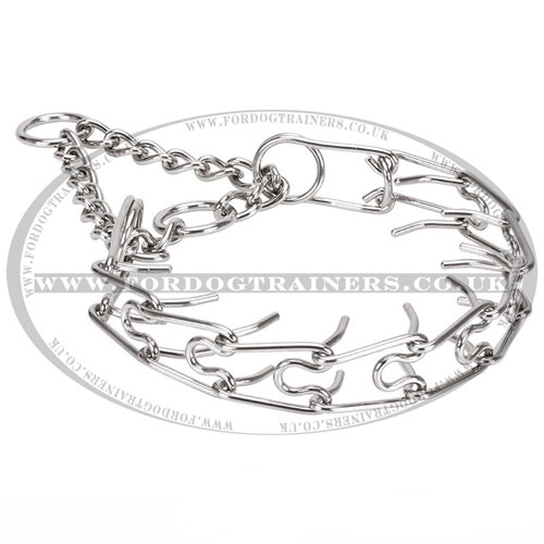 Stainless steel dog pinch collar buy UK