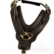 Leather Dog Harness UK Soft Padded | Large Dog Harness