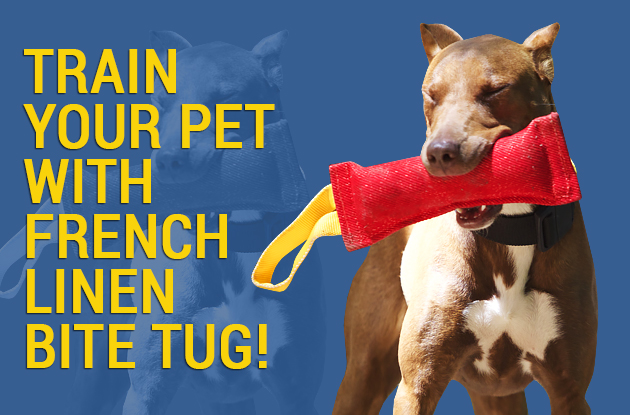Soft Bite Tug with Handles