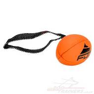 Rugby Ball Shaped Dog Toy with Handle