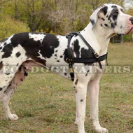 Weight Pulling, Tracking Dog Leather Harness UK