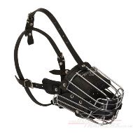 Wire Basket Muzzle for Dogs | Best Muzzle for a German Shepherd