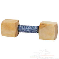 agility dog taining dumbell