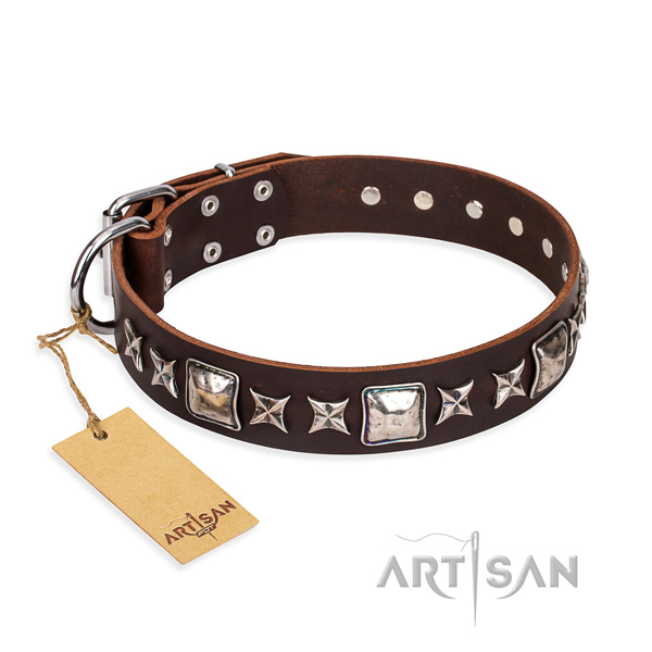 Buy Brown Leather Dog Collar with Studs