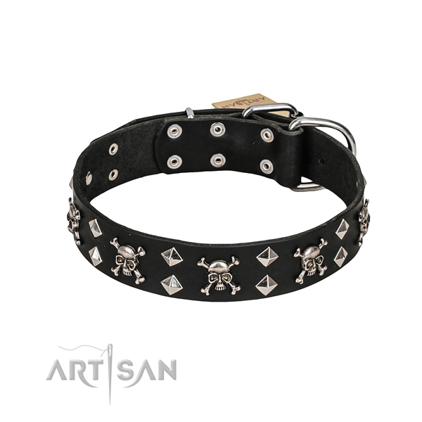 Buy Designer Dog Collar with Skulls and Diamonds