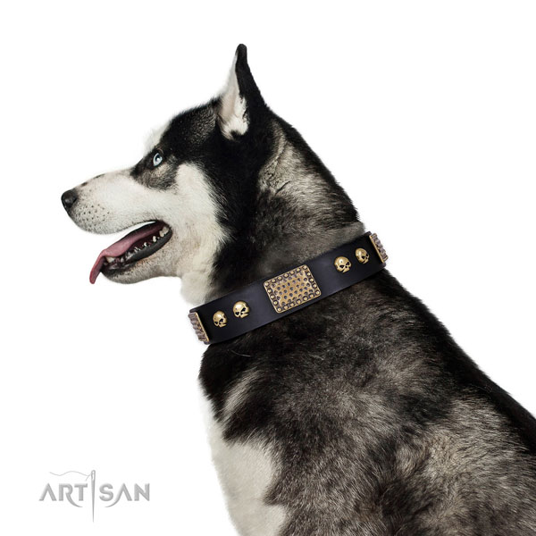 Buy Biker Dog Collars for Husky