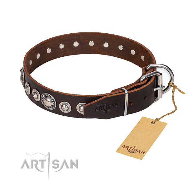 Dog Buckle Collar