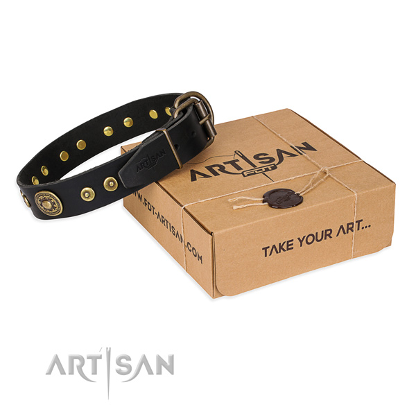 Luxury Dog Collar with a Gift Box