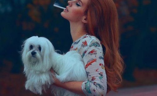 dog health