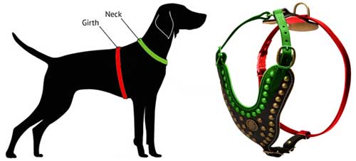 boxer dog harness size
