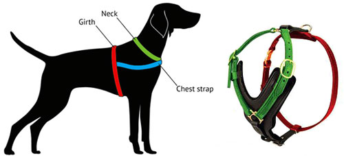 German Shepherd Harness Size