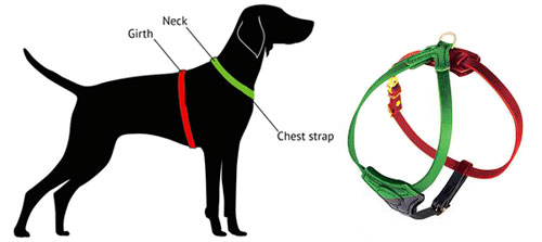 small dog harness measurements