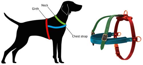 German Shepherd harness