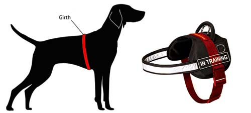 German Shepherd harness size