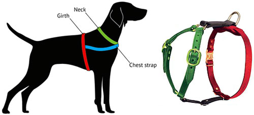 German Shepherd Harness Size