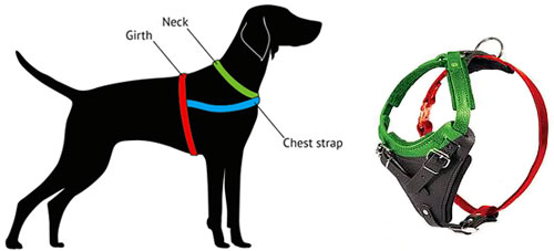 what size harness for my german shepherd