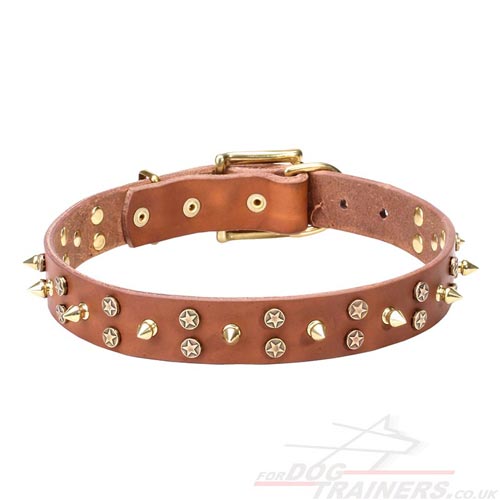 Designer Leather Dog Collars