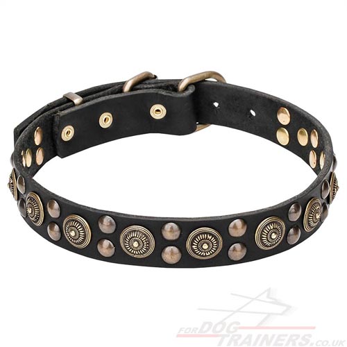 Posh Dog Collars for Large Dogs