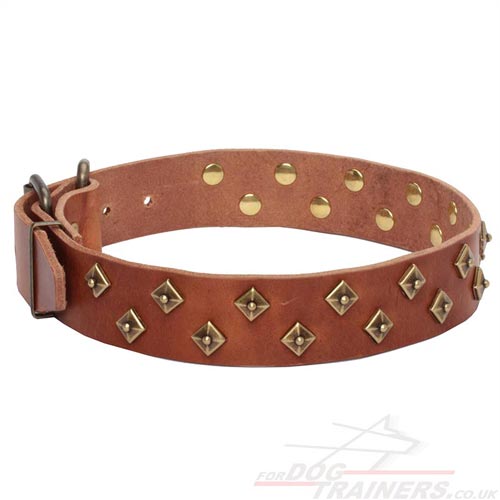 Natural Leather Dog Collar