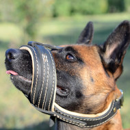 Light Belgian Malinois Leather Muzzle to Stop Dog Barking