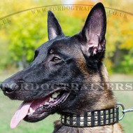 Designer Dog Collar with Pyramids