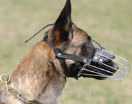 Wire Basket Dog Muzzle for Belgian Malinois Wire Basket Dog Muzzle for Belgian Malinois