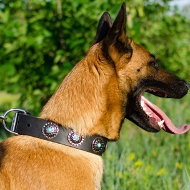 Leather Dog Collar with Turquoise Studs