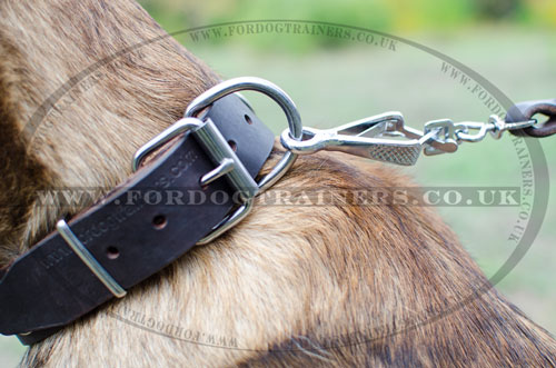 leather dog collar with metal buckle for belgian shepherd buy online