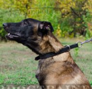 Dog Collar for Malinois Training | Dog Slip Collar with Buckle