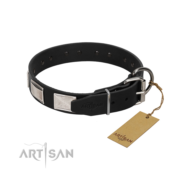 best dog collar for big dogs