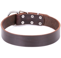 "Universal Use" Brown Adjustable Dog Collar