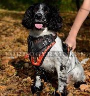 "Flame" Design Soft Chest Dog Harness for Springer Spaniel