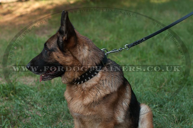 best leather leash for german shepherd