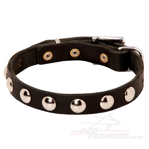 The Best German Shepherd Collar