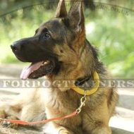 Best German Shepherd Dog Collar with Handle for K9 & Daily Use