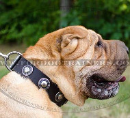 Shar Pei Dog Collar with Silver Color Vintage Medals