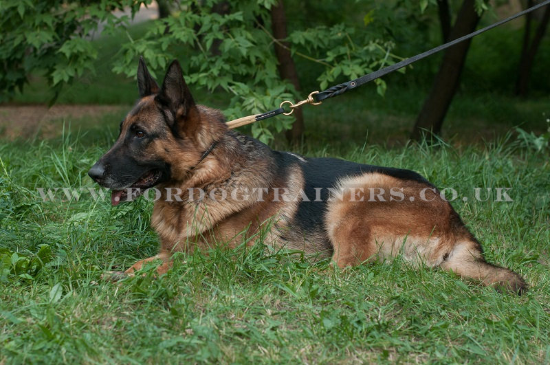 best leather leash for german shepherd