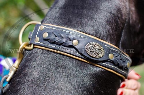 Great Dane Leather Collar