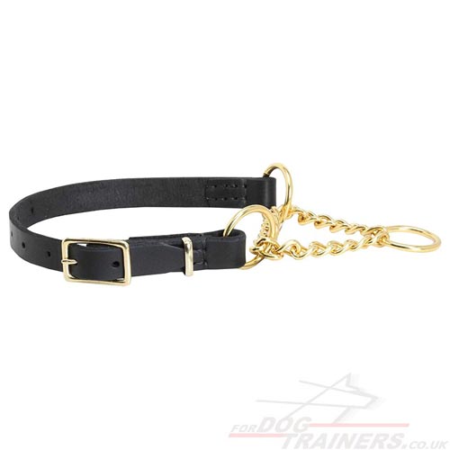 Best Dog Training Collar