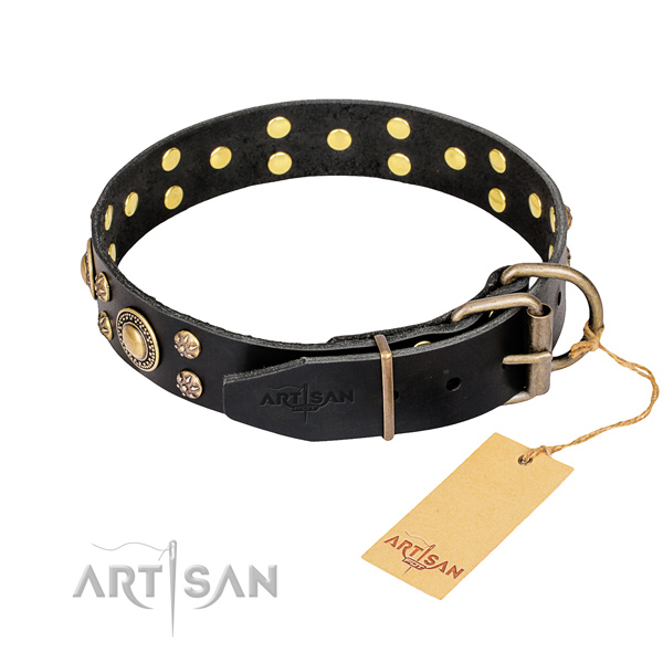 Buy Leather Dog Collar with Brass Buckle UK