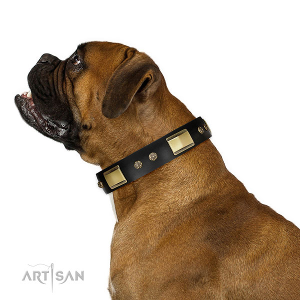 Buy Boxer Dog Collars UK