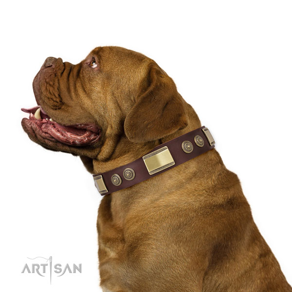 Brown Dog Collar for Dogue De Bordeaux Mastiff